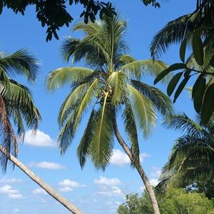 Meet your Posher, Audra